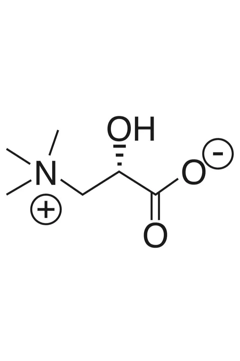 Acetyl-L-Carnitine