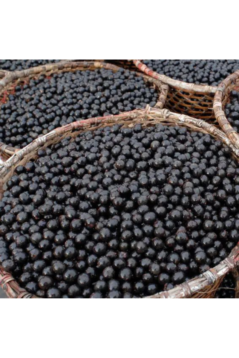 Açaí