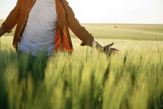 Acid-base balance / acid base metabolism