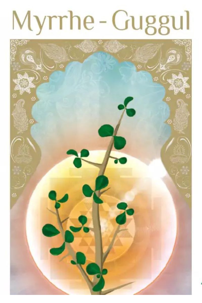 Myrrh