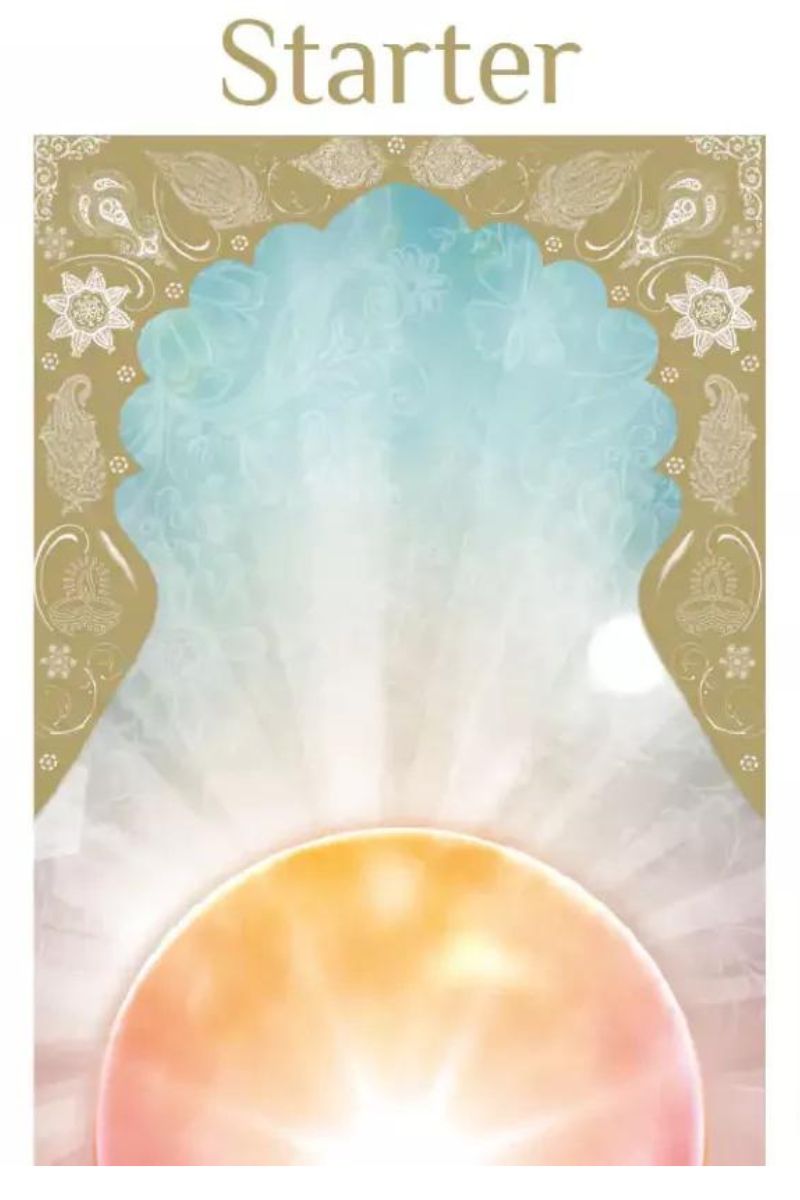 Starter + Pitta Harmonizer