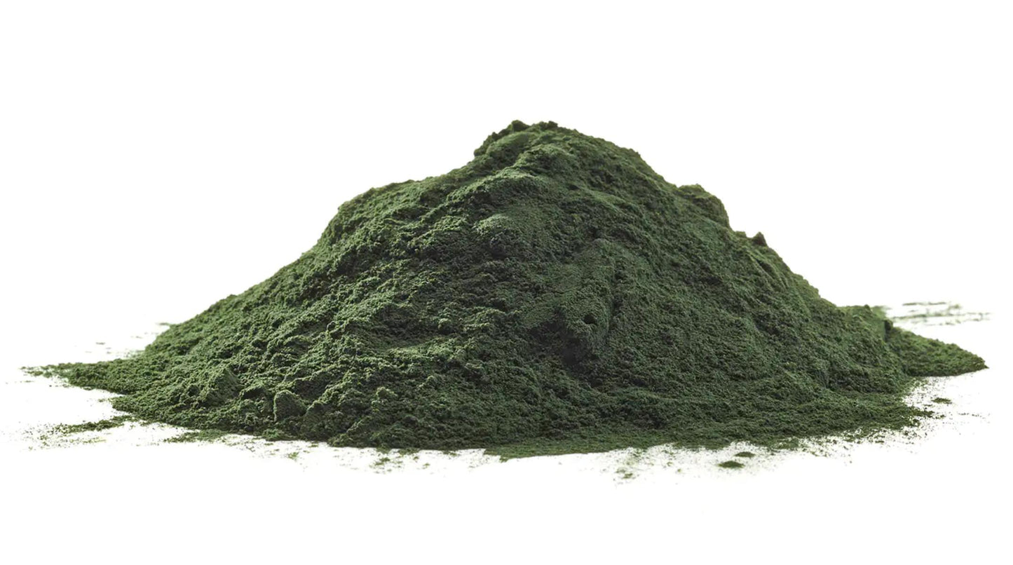 Chlorella vulgaris