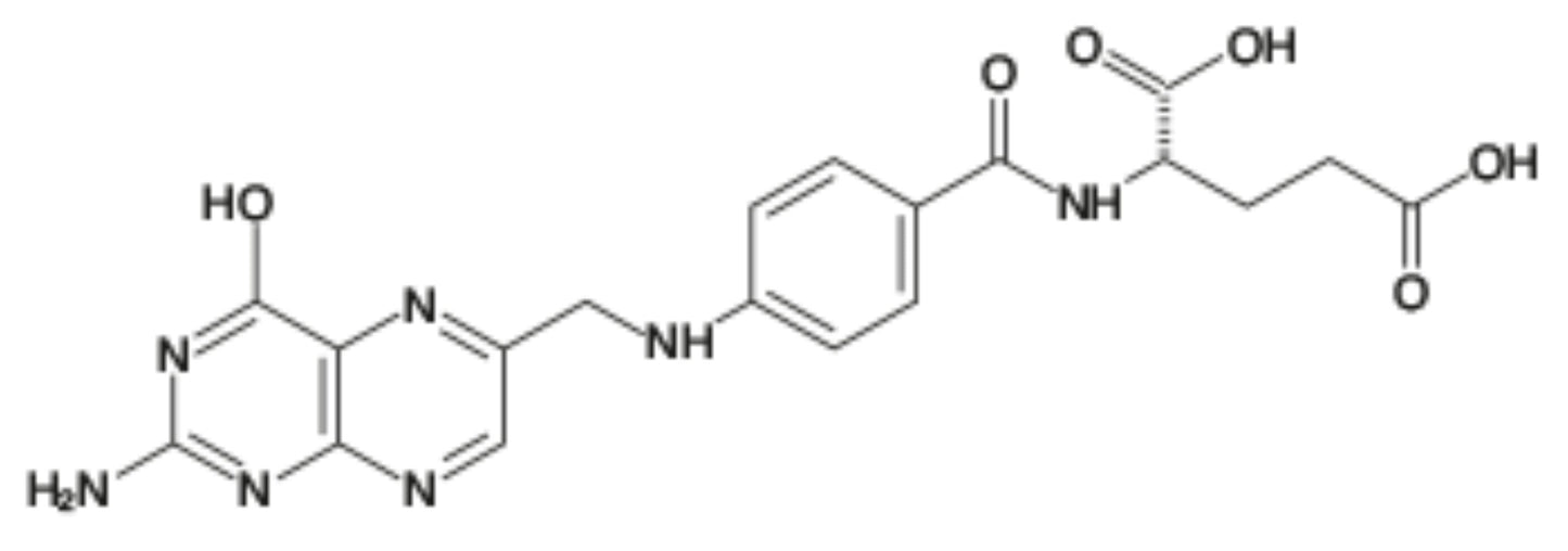 Folic Acid Bioactive Form (Vitamin B9)