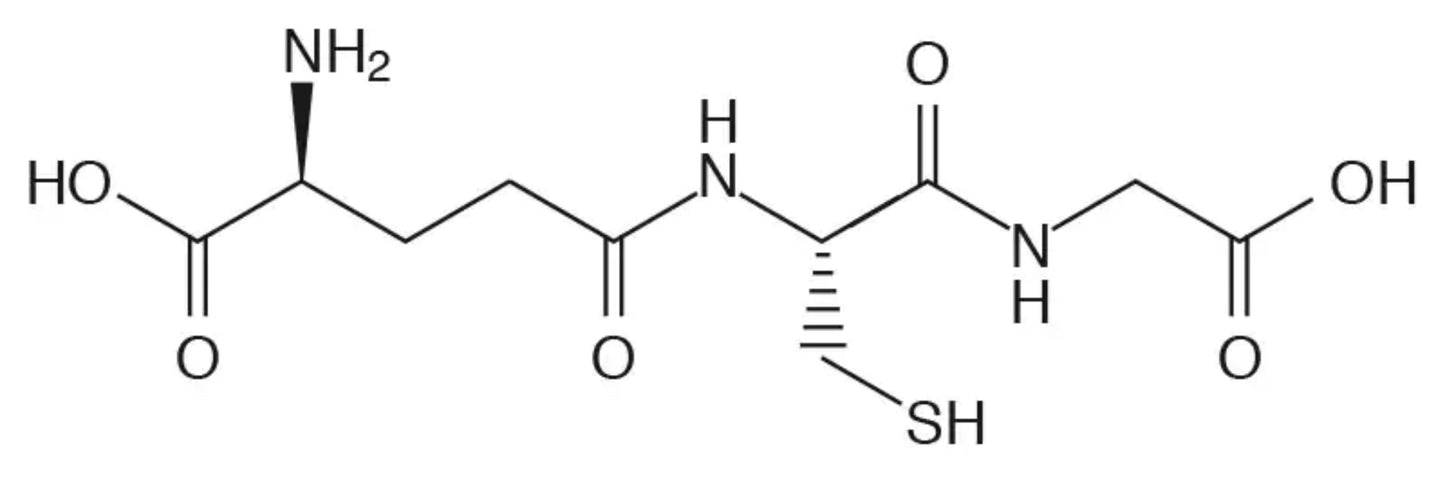 L-Lysine