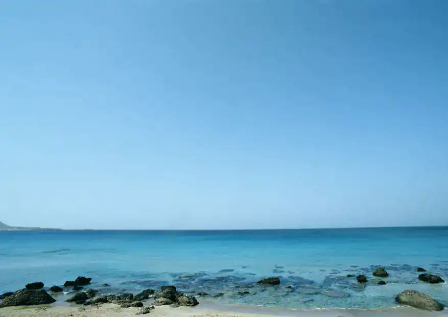 Green-lipped Mussels