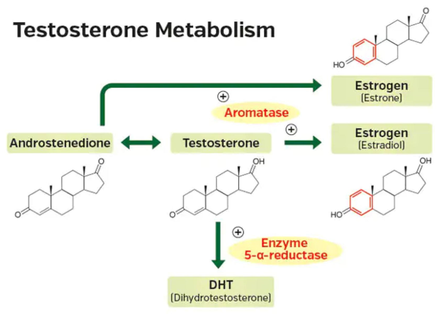 Testos PRO viril masculine