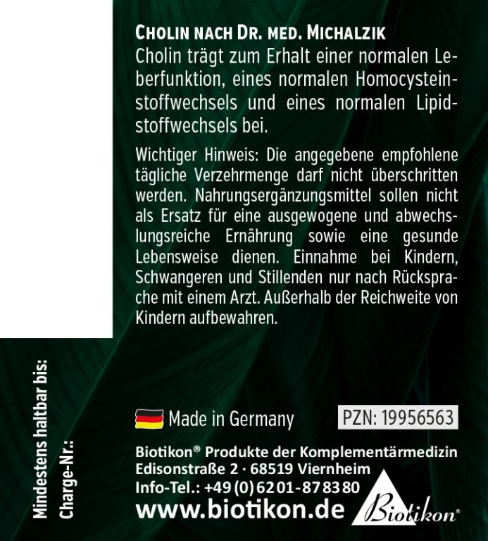 
                    
                      Choline
                    
                  