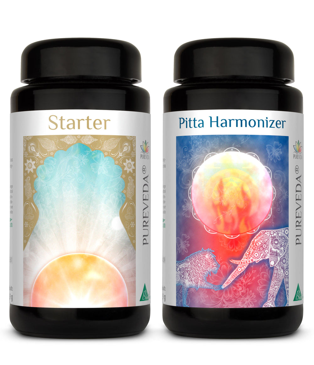 Förrätt + Pitta Harmonizer