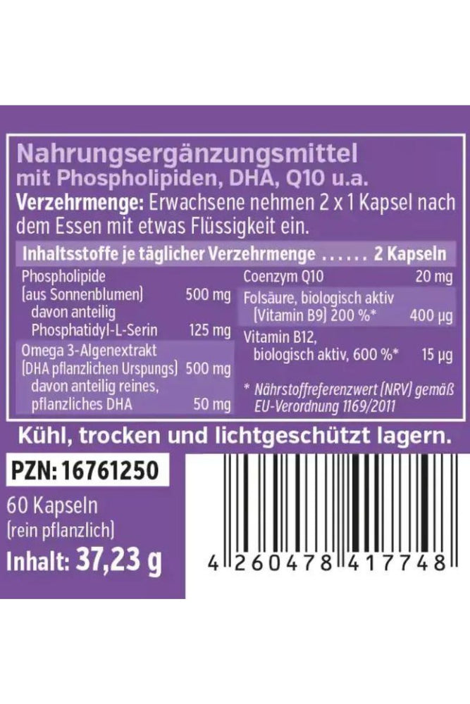 
                    
                      Hjerneforsterker
                    
                  