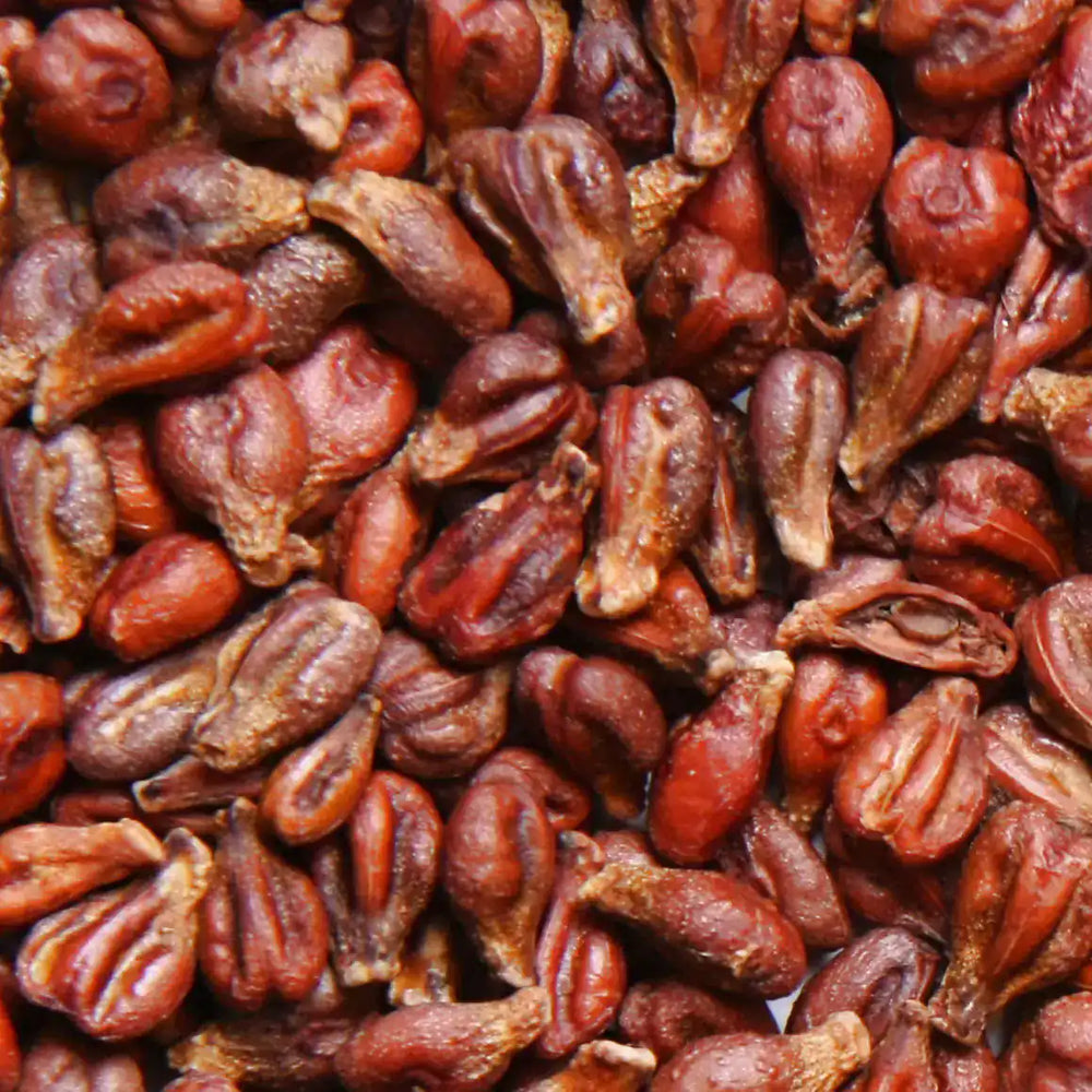 
                    
                      OPC Premium Piperine PRO
                    
                  
