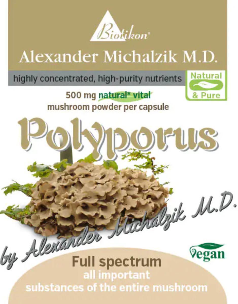 Polyporus – biotikon®